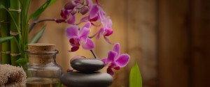 Welcome to Necessities Salon and Spa